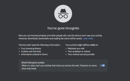 How to See Someone’s Incognito History?